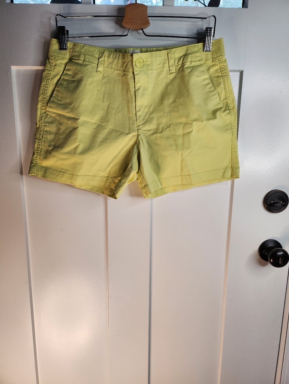 GAP Women's Light Green Flat Front Shorts